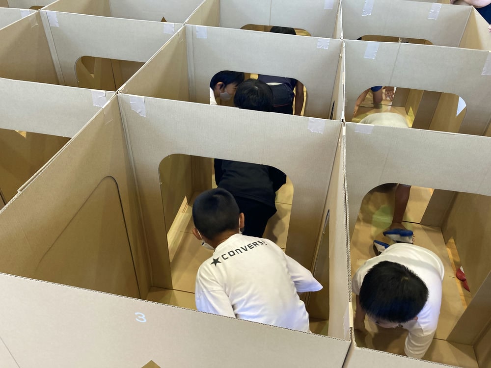 ダンボール迷路