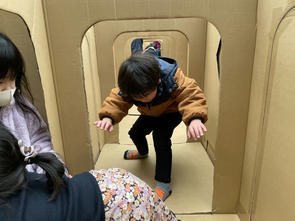 ダンボール迷路