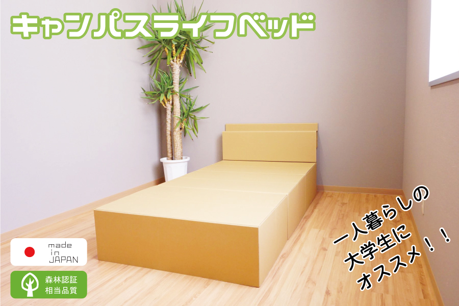 ダンボールベッドトップ画像