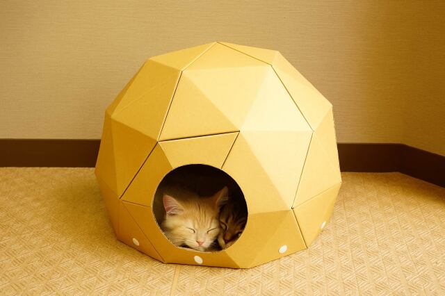 ねこデシックドーム