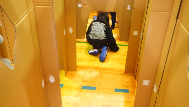 見守り窓付きで内部を確認できるダンボール迷路